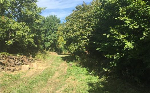 TERRAIN A BATIR MONTAINVILLE – 3779 m2