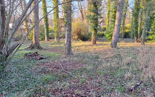 Terrain constructible