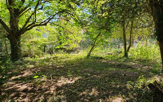 Terrain Maule 750 m2