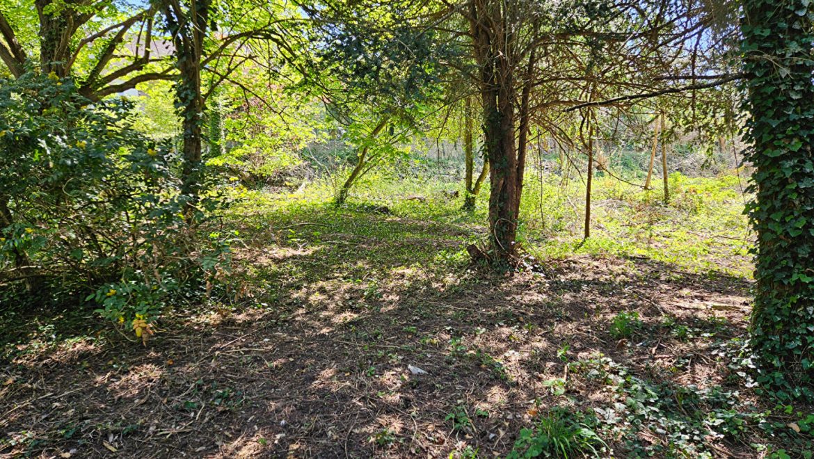 Terrain Maule 750 m2