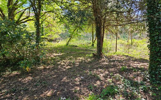 Terrain Maule 750 m2