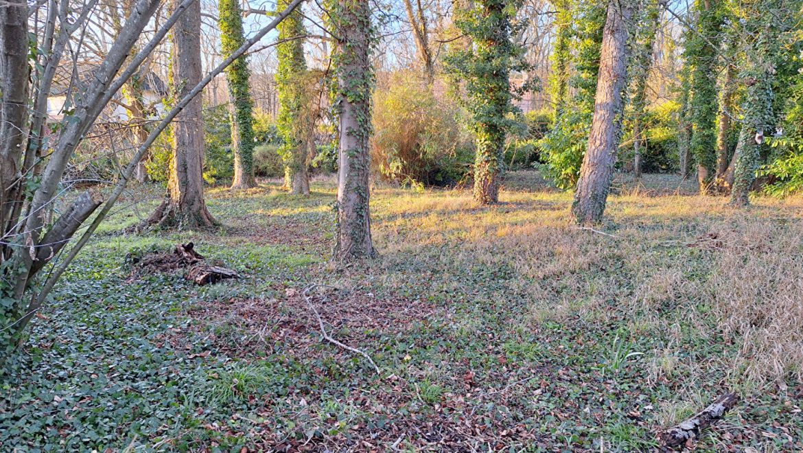 Terrain constructible