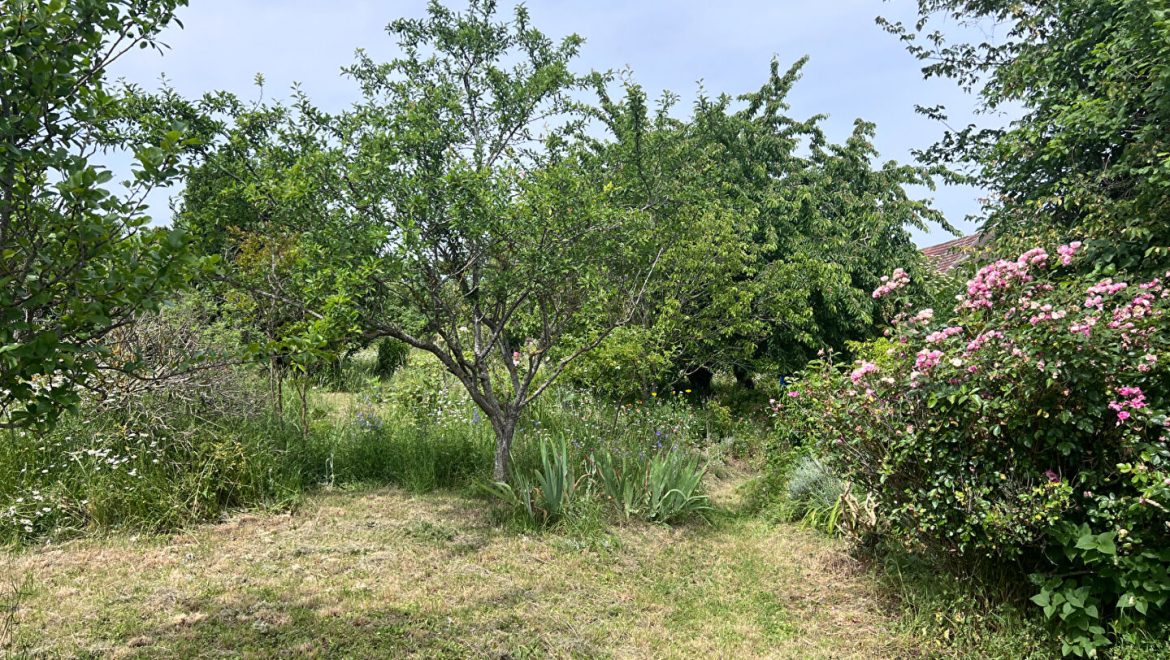 Terrain constructible de 300 m²