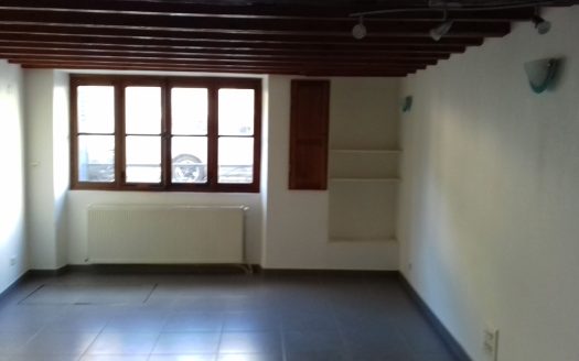 Charmante maison de ville de 48 m²