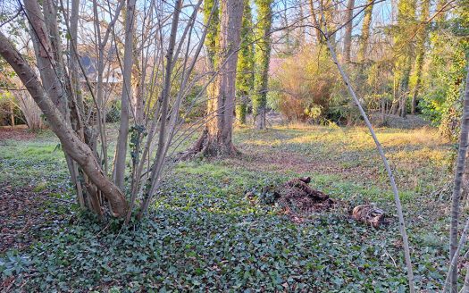 Terrain constructible