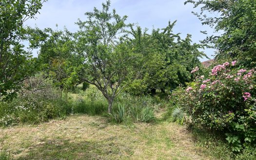 Terrain constructible de 300 m²