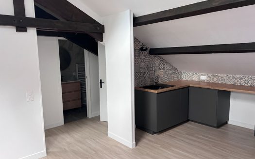 Appartement refait à neuf
